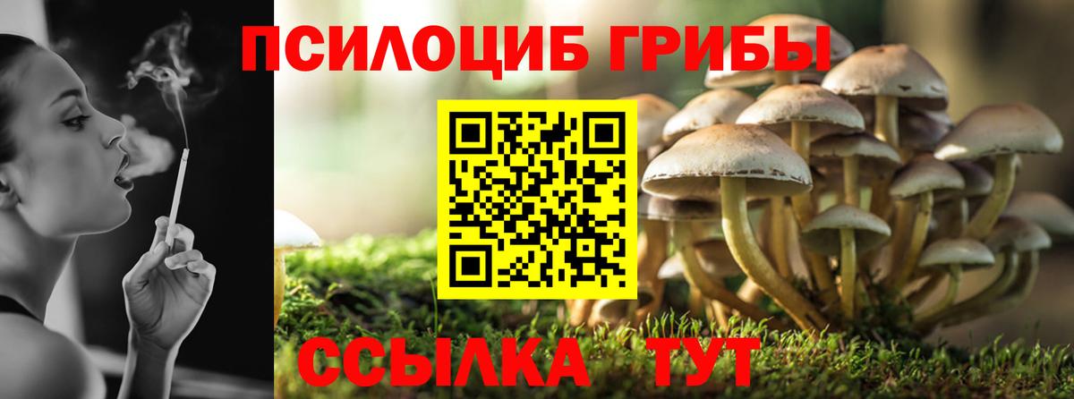 Галлюциногенные грибы Magic Shrooms  Вход с VPN  Нижний Новгород 